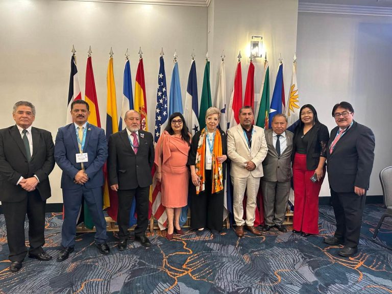CIG PARTICIPA EN LA ASAMBLEA GENERAL DE UPADI 2026 EN COSTA RICA
