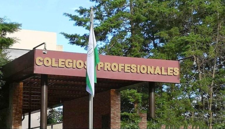 CIG – COLEGIO DE PROFESIONALES